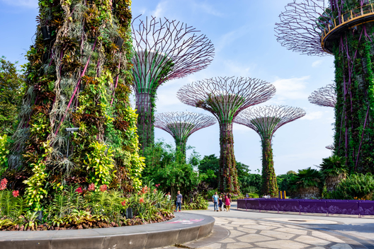 A imagem mostra o Gardens by the Bay em Sigapura